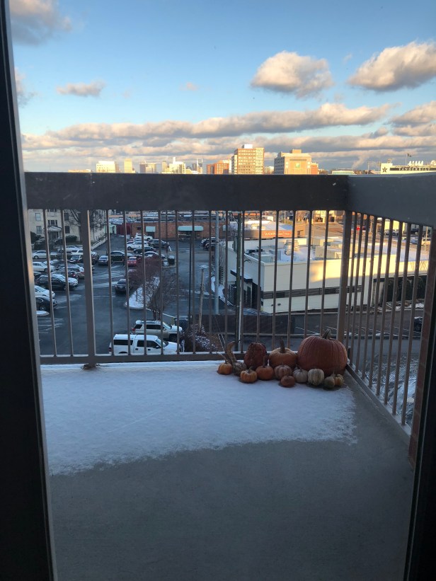 xWdocpB+QzSby%1r%0i26g